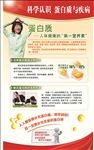 健康教育之蛋白质