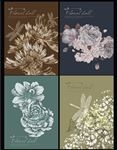 花世界 中性本本