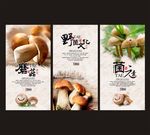 磨菇展板