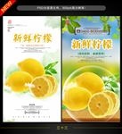 柠檬