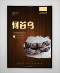 何首乌