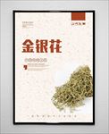 金银花