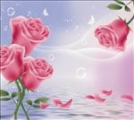 玫瑰花背景墙