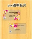 透明pvc名片