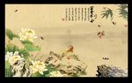 荷花 国画
