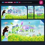 油菜花