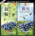 蓝莓