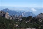 黄山风光 山峰 劲松