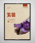 紫薯
