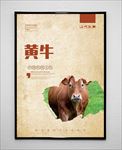黄牛