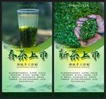 新茶上市