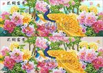 花开富贵 金色孔雀牡丹