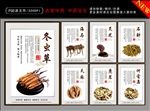 名贵中药 中药文化