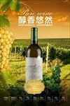 大气葡萄酒海报宣传单