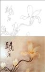 飘香玉兰花