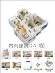 定制家具CAD  鸟瞰图