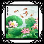 荷花鱼