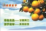 柑橘 农家橘子 桔子 金柑