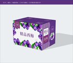 西梅包装  效果图 展开图