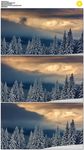 雪山上的夕阳和乌云雪松