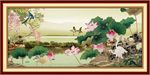 荷花风景