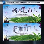 新茶上市