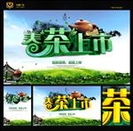 春茶上市