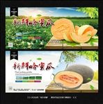 哈密瓜