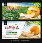 黄金瓜