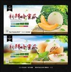 哈密瓜