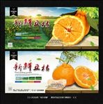 丑桔