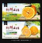 丑桔