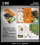 农业蔬菜三折页