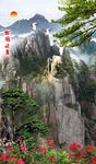 松鹤延年