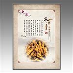 中药展板