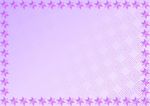 紫香菜 淘宝证书纹