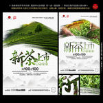 新茶上市