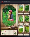 茶叶