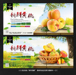 黄桃