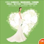 唯美婚礼美丽新娘婚礼设计素材