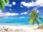 海滩风景椰子树
