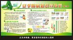 夏季健康教育宣传栏