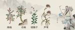 中医药文化
