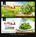 毛豆