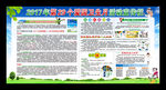 2017年爱国卫生月主题宣传栏