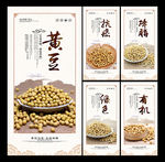 黄豆