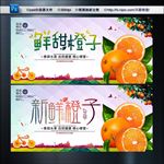 新鲜橙子