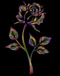 玫瑰花矢量图