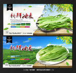 油麦