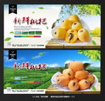 枇杷